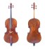 Professional Cello FPVC03M